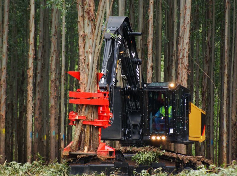 Rugged forest clearing using OHLA in heavy-duty forestry machinery 